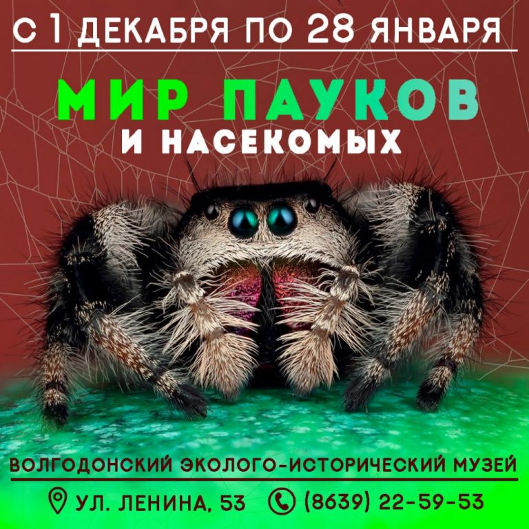 Выставка «Мир пауков и насекомых».jpg