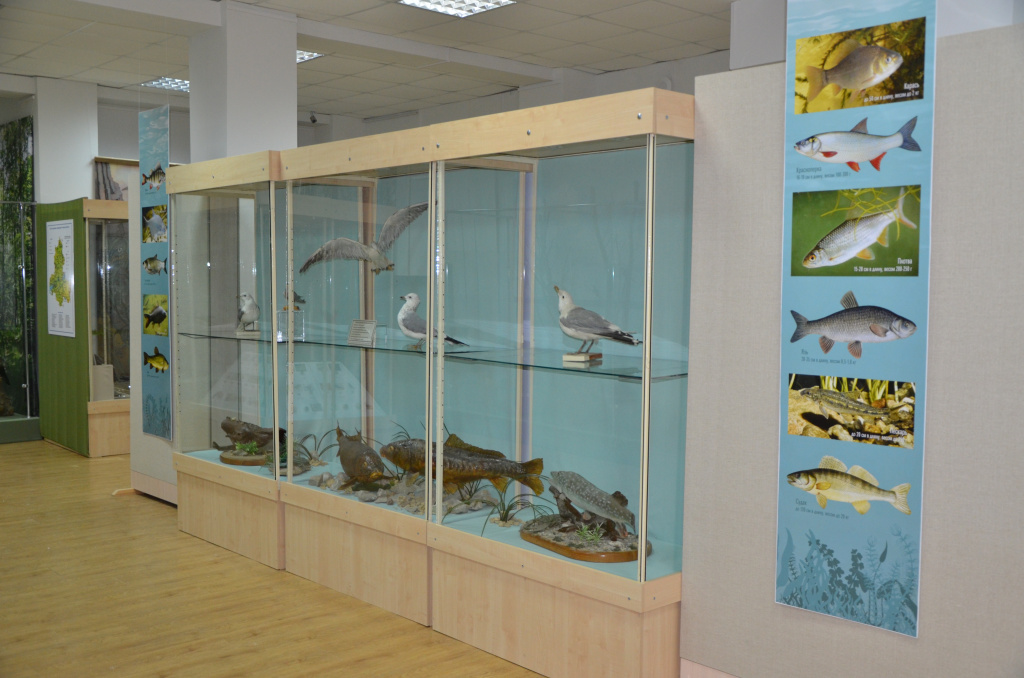 Выставка Эволюция животного мира донского края.Раздел Рыбы.JPG